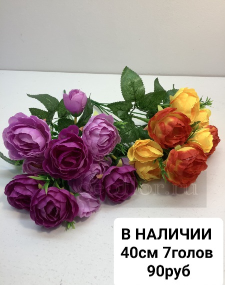 https://i.postimg.cc/0jXnRLSh/02012024203044.jpg