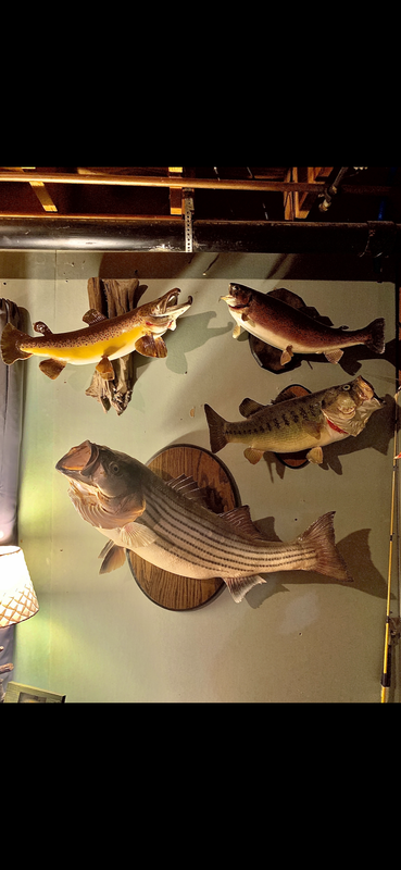 DF9C9527-6E7C-4139-87CC-ABFF00B815B9