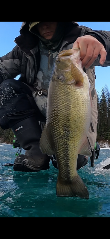 bass