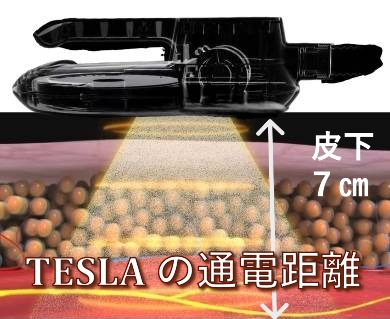 TESLA IMPACT 利用シーン