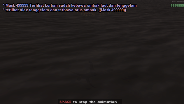 ck13.png