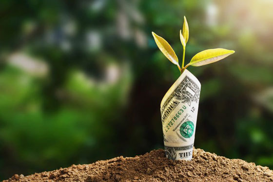 Beneficios de invertir en fincas