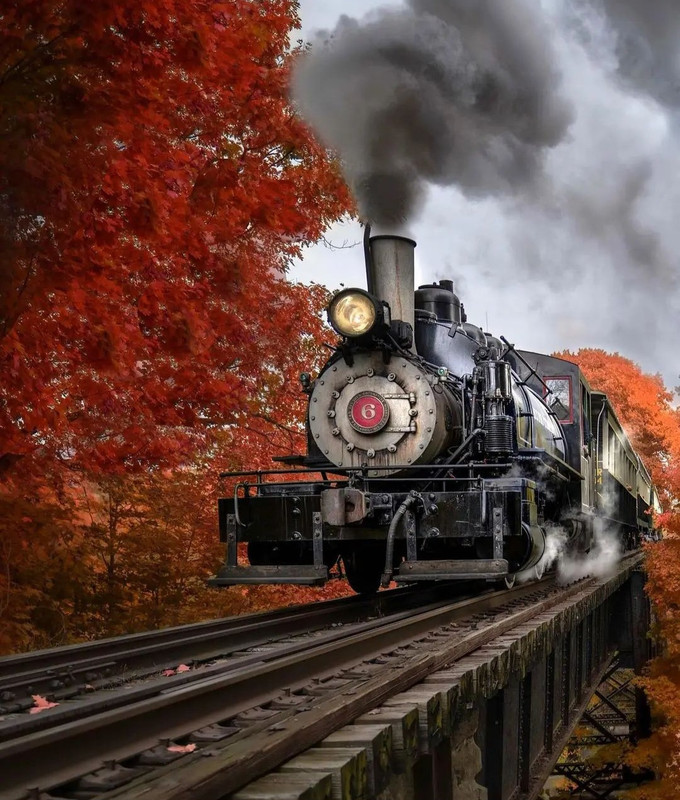 Screenshot_20231207_153326_Instagram