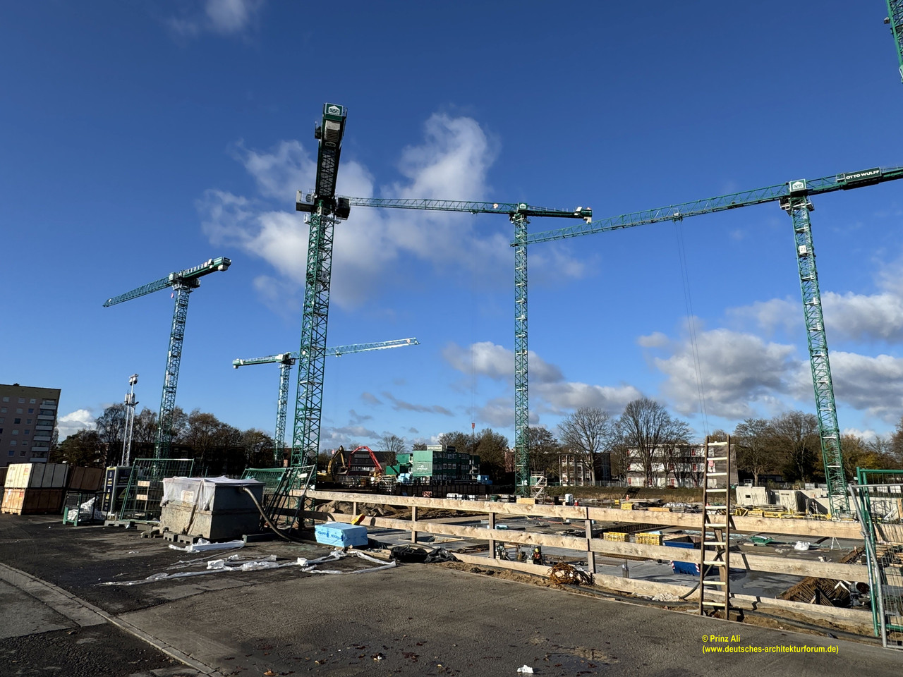 Bramfeld 2025 11 003