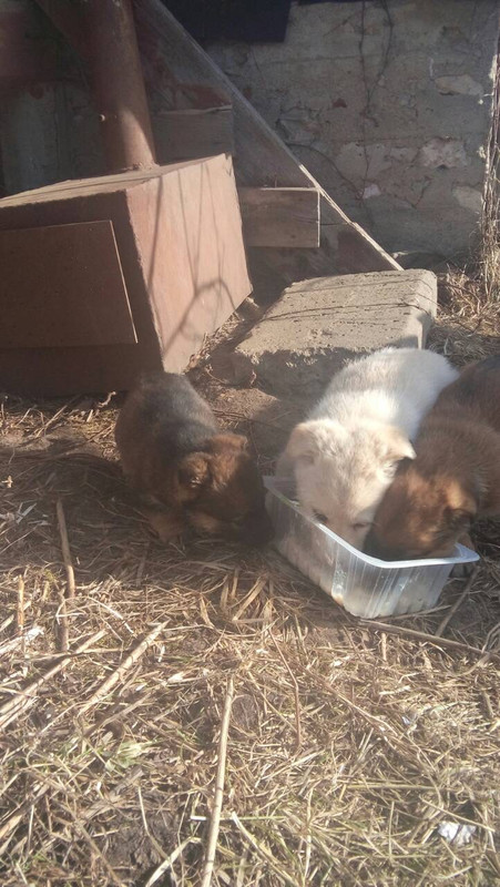 B20634D8-9E53-4796-9A8B-E7A737ADA39A