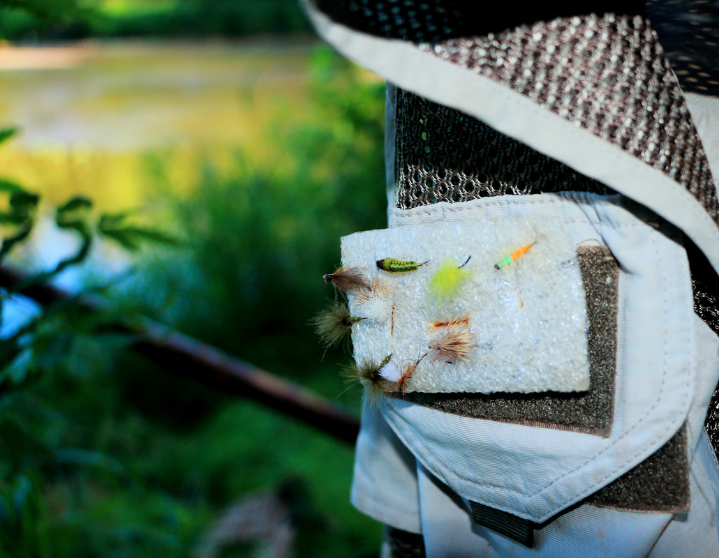 IMG_6074 (9000 x 6993)