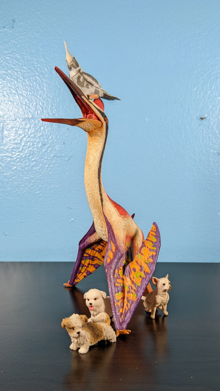 Custom Dinotopia Quetzalcoatlus "Skybax" by paintingdinos PXL-20220306-011626438-MP