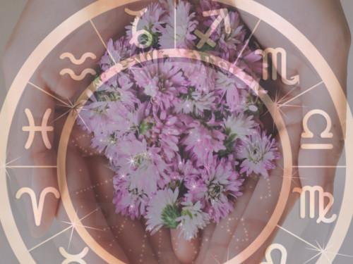 [Изображение: 0870e658316adb7396102ccf3a8f7fe9.jpg]