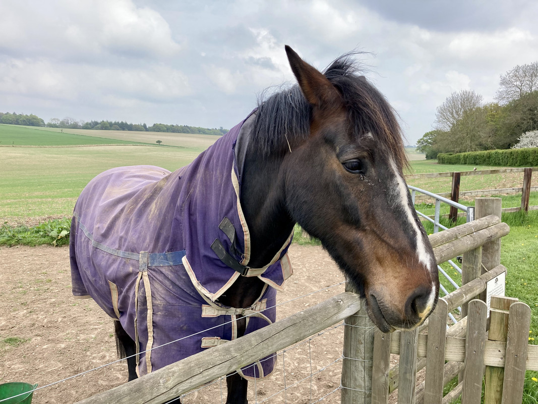 1638A4E8-B1E5-4C57-ABCF-6576476819DF