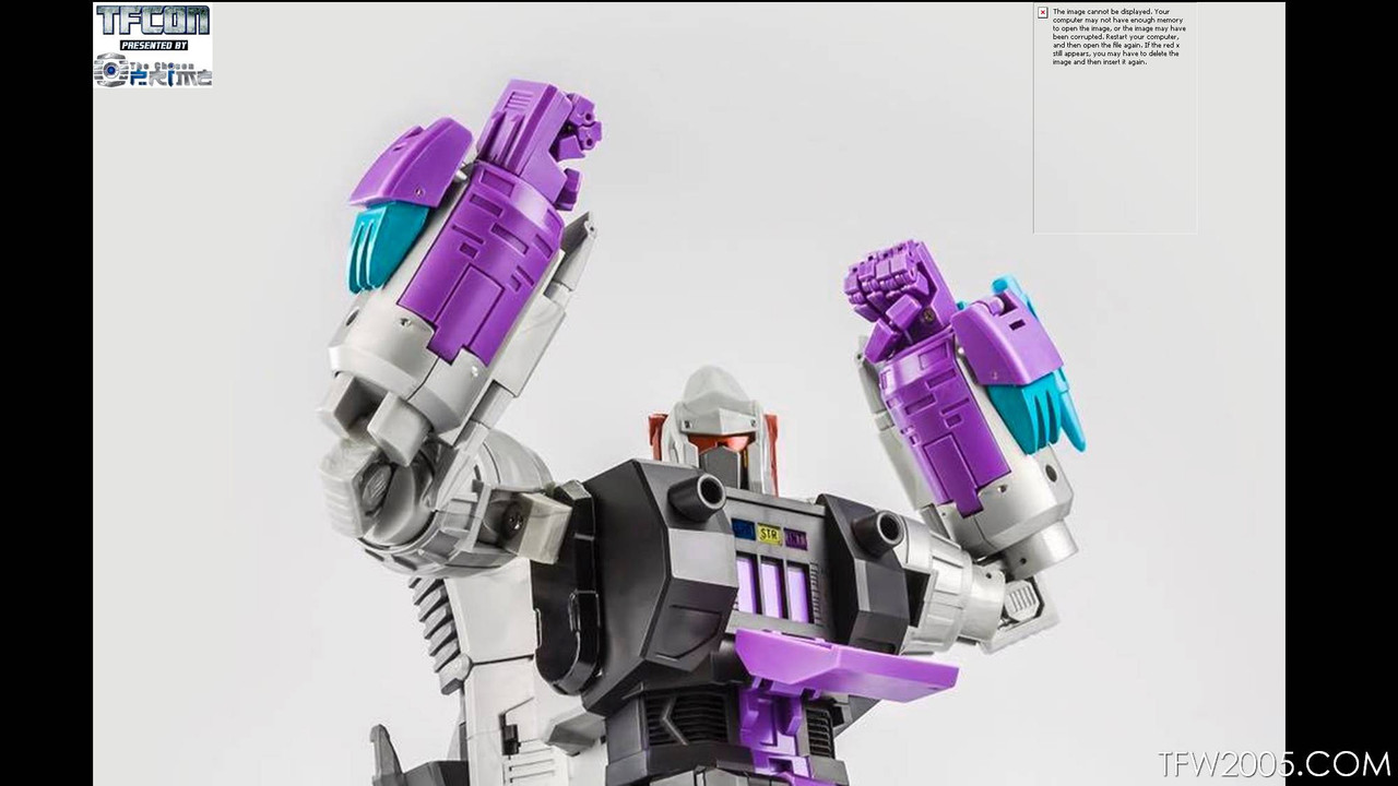 TFcon-2017-3rd-Party-294