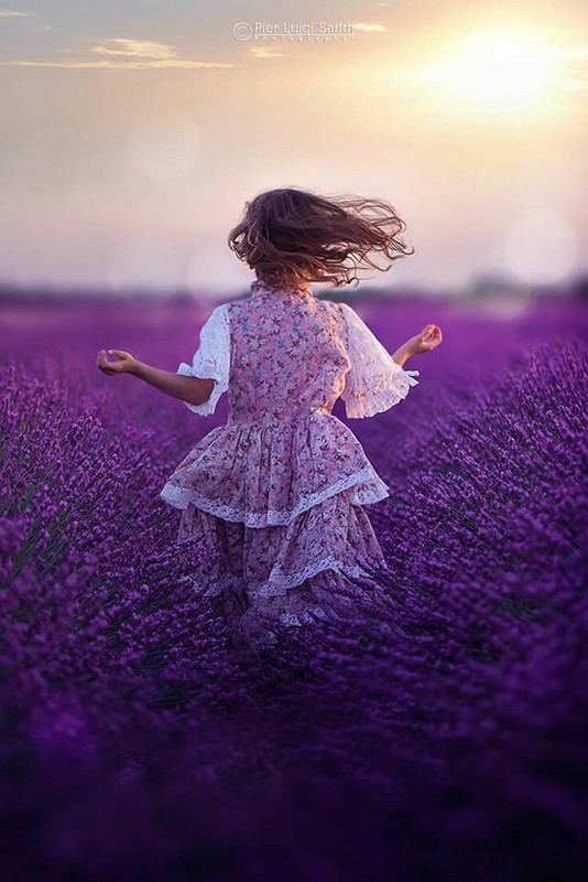 ���� ���� ������ �� ���� ������