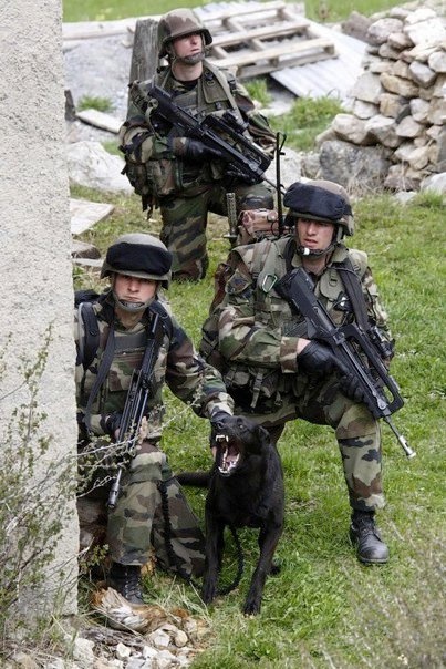 soldats lermandienne