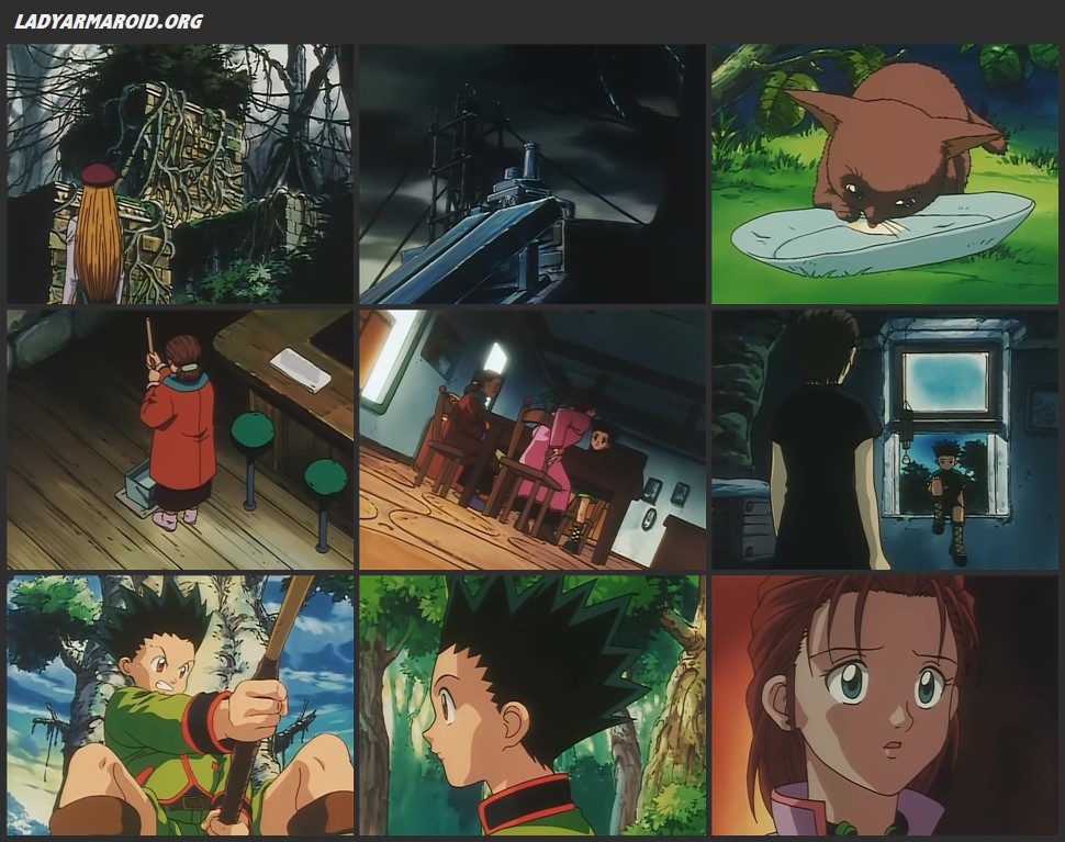 Hunter × Hunter - 1999 - TV Serie - 62/62 (DVDRip Latino)(Varios) 5