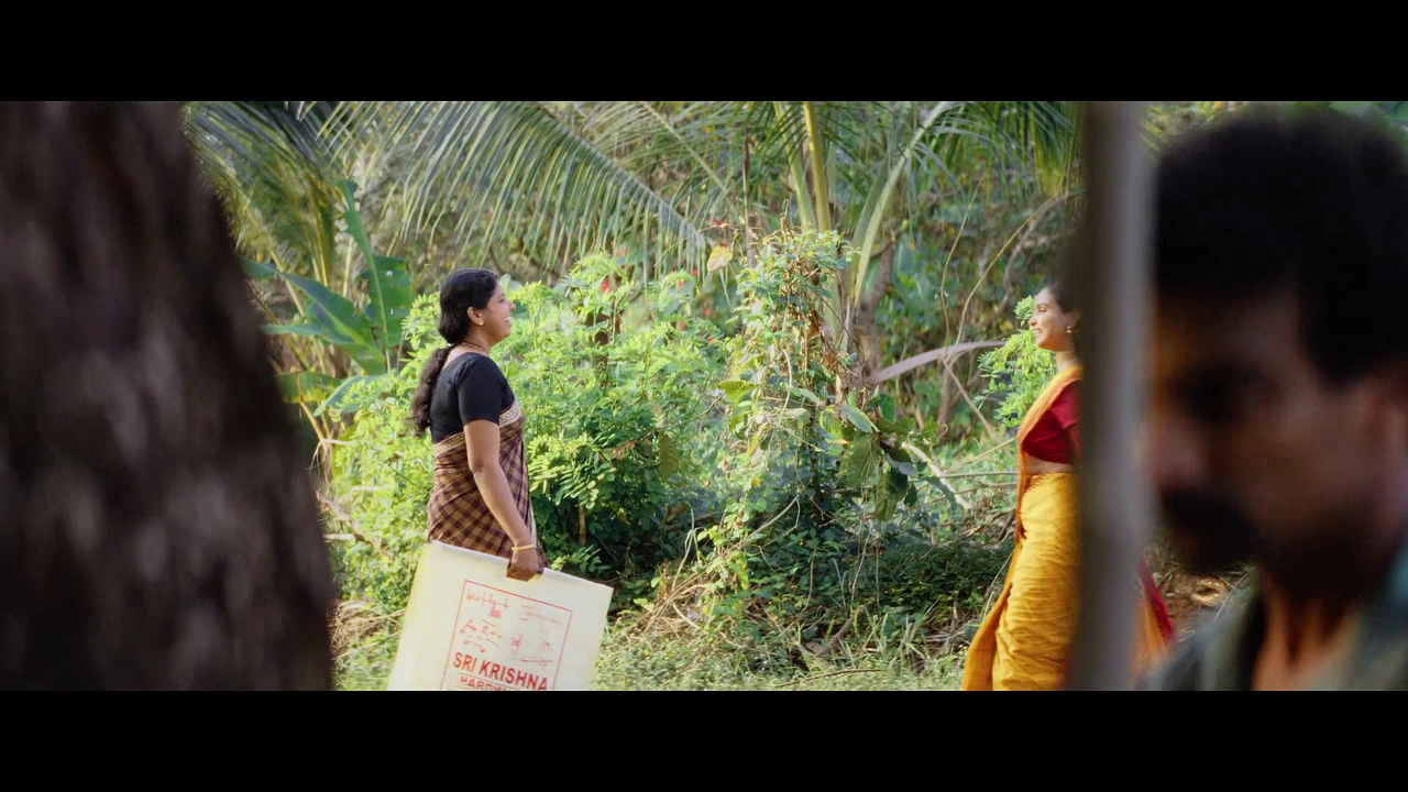 vlcsnap 2025 11 15 15h50m28s773