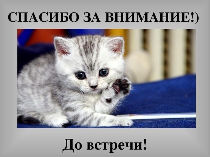ccb0de0deb8003cf755dc7f73ec6926f