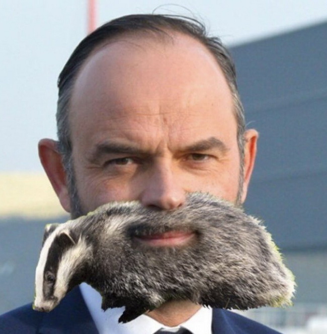 https://i.postimg.cc/0jZf2kKT/FBWMd-Eb-Xs-AUa-Jv-redimensionner.jpg