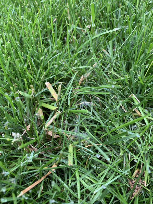 BAAE4D52-2DBC-498A-B2F6-01F442B111A3