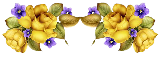79dab7c54d587e03fc24b8bc4b9bf9eb-removeb