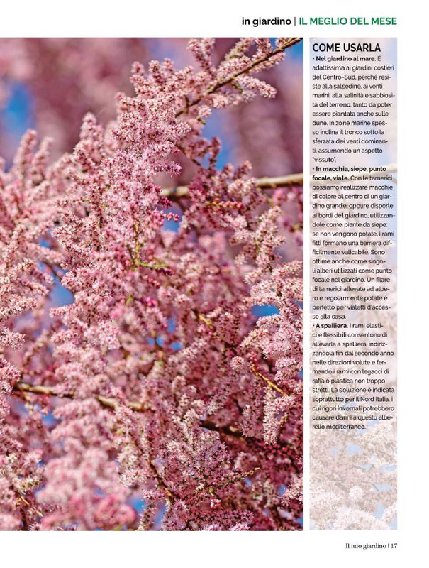 Il Mio Giar GIu-Lug 2022 (2)