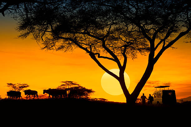 luxury safari Tanzania