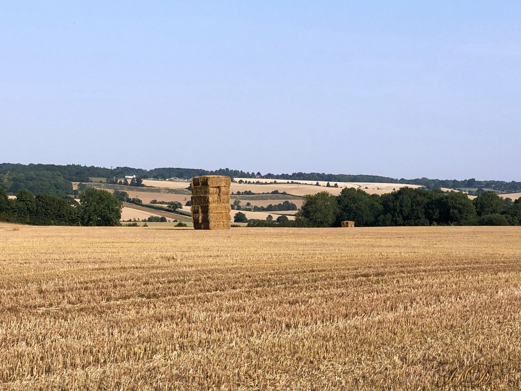 Haystack-aug-2020-aston-HD.jpg