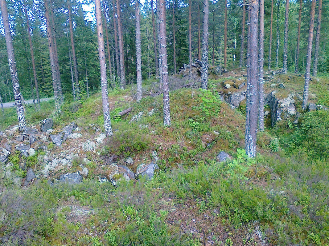 10072015677