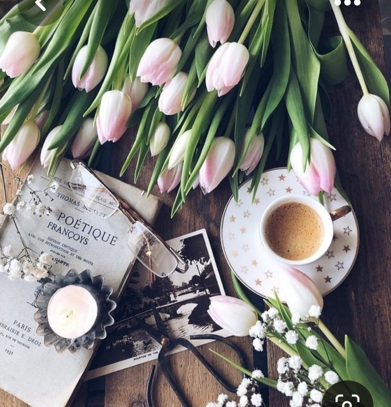 Screenshot_20230819_231048_Pinterest