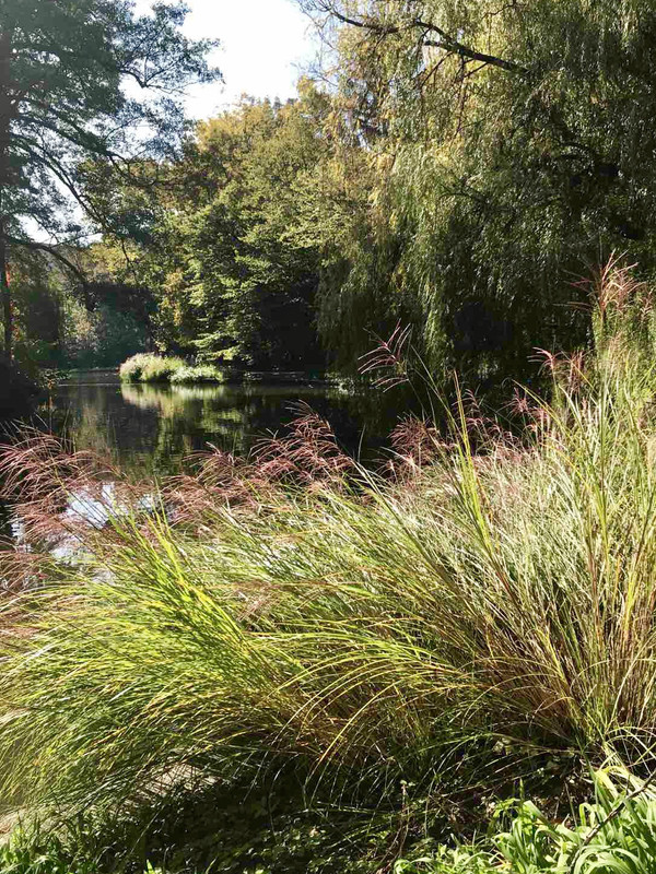 499AB18D-79D3-4D0F-B0FA-C83EFE6EB353