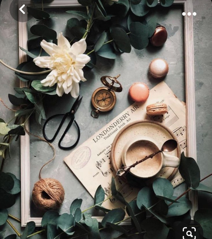 Screenshot_20230923_234854_Pinterest