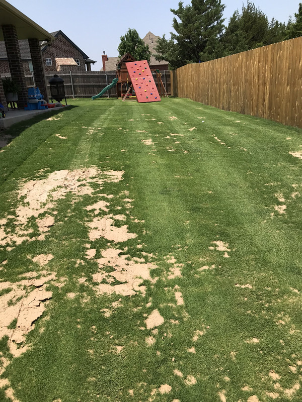 A43516EE-8DB4-45FF-9FDE-27B0C27D2105