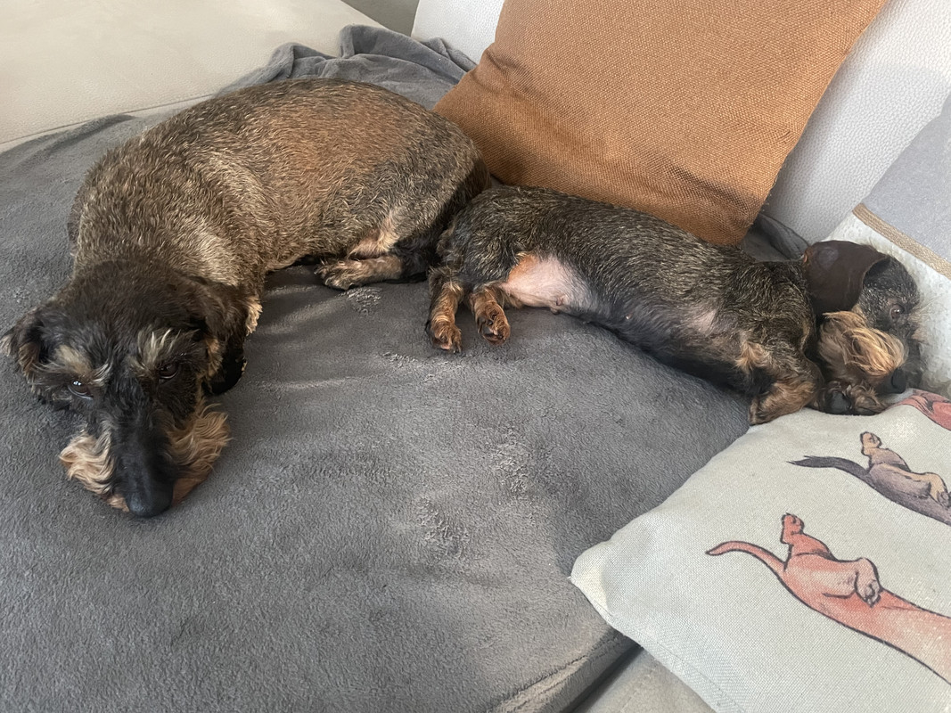 [Image: IMG-6036.jpg]