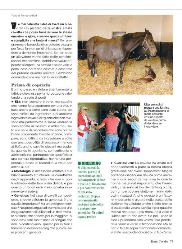 Il Mio Cav (Mag 2022) 12