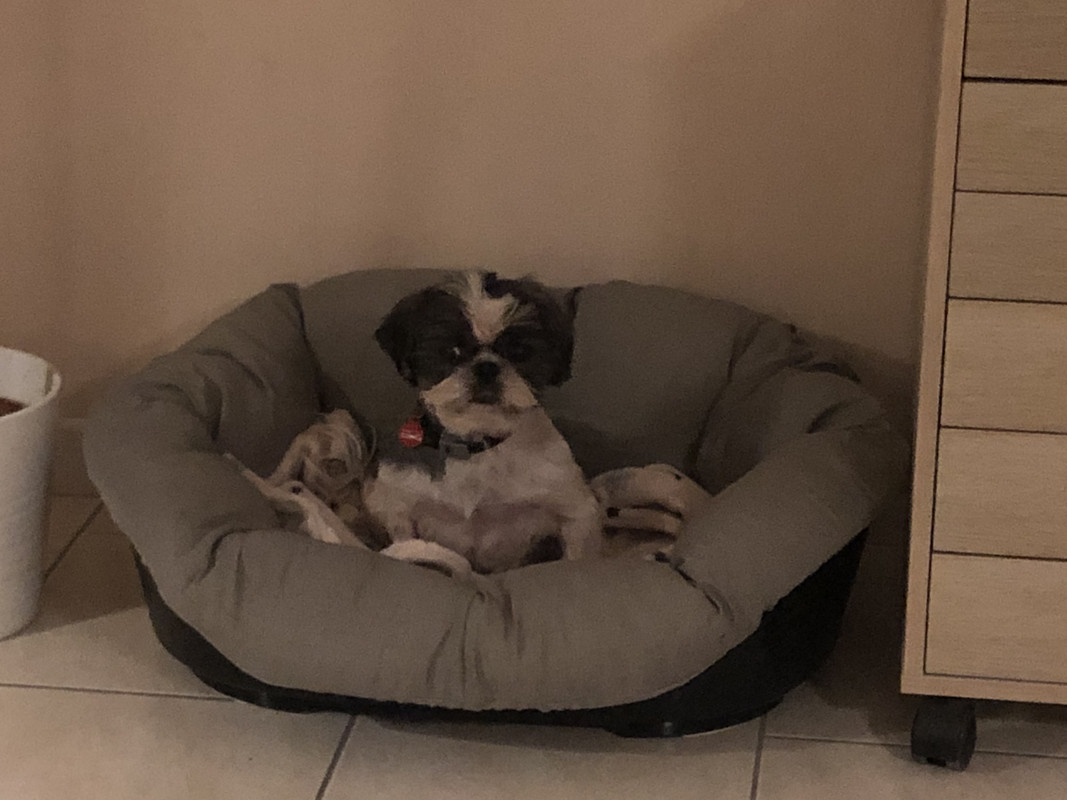 [Image: 771-B322-A-BB82-4-CB3-B7-D1-D7-F680-DB2773.jpg]