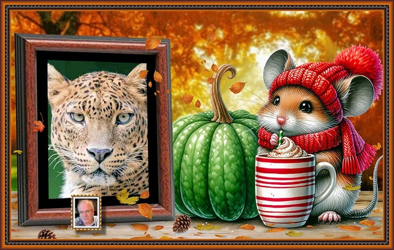 MOOIE-KATER-2