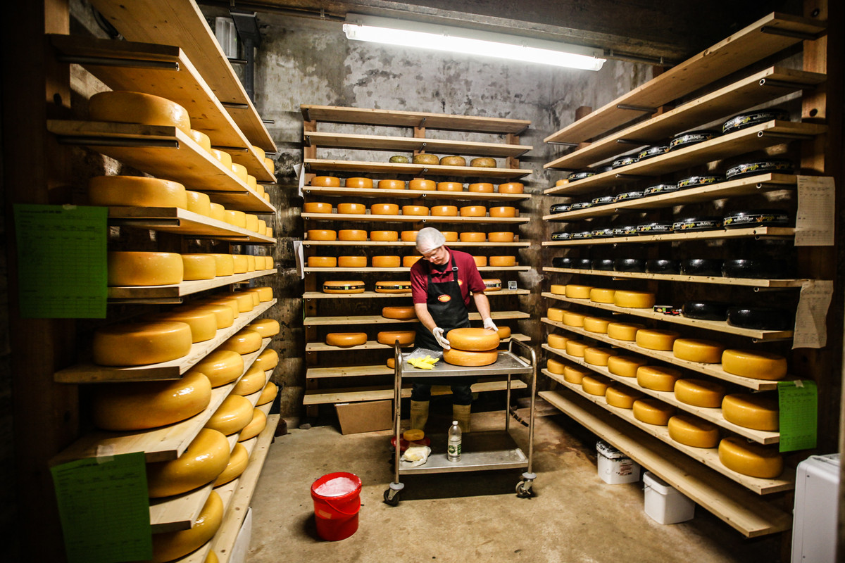 Kaasbunker(klein)-MKB-6