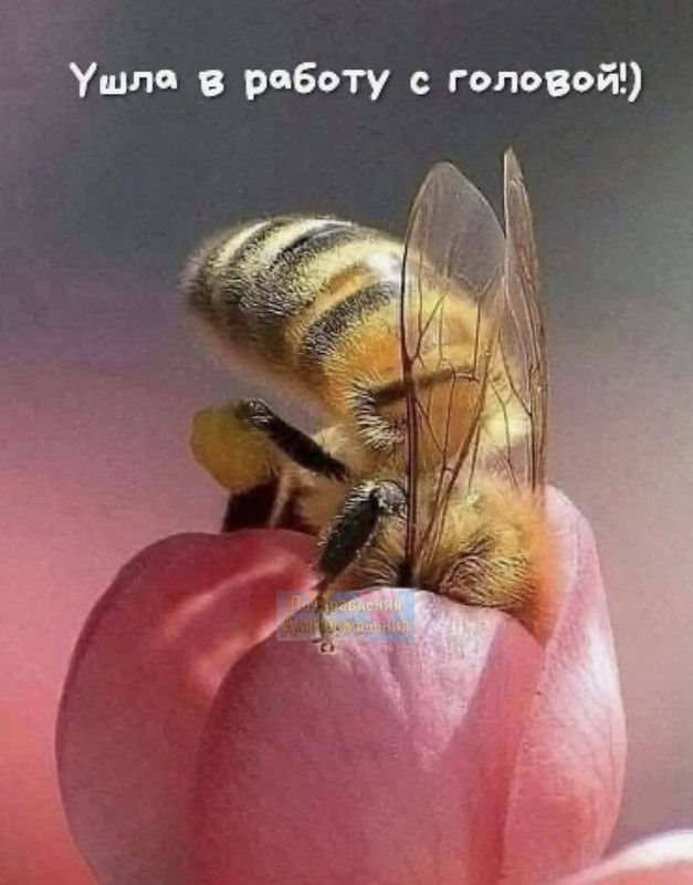 D67D9674-315B-48EF-8F62-D9AE7F2A3720