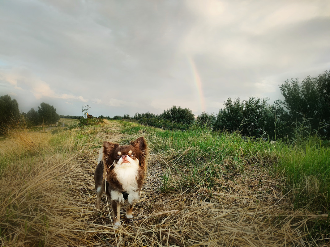 Lumii_20210725_224220650