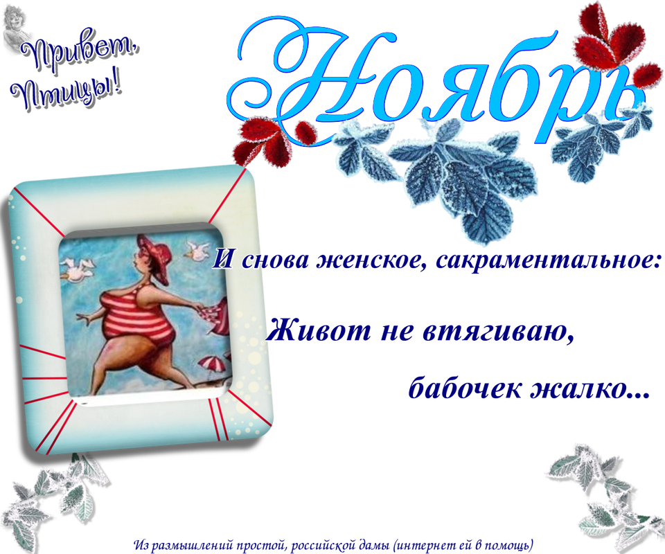 https://i.postimg.cc/0jffr6DS/17-11.png
