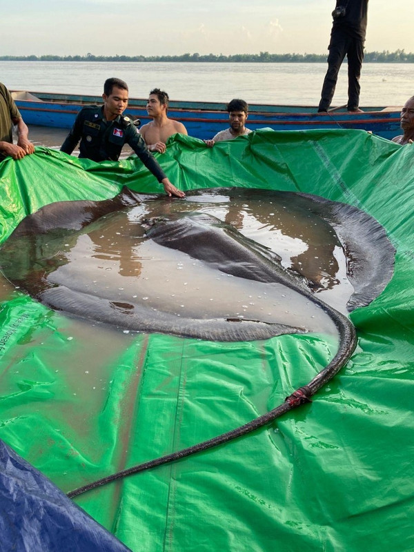 289266801_5199454520136198_8609317962024342063_n