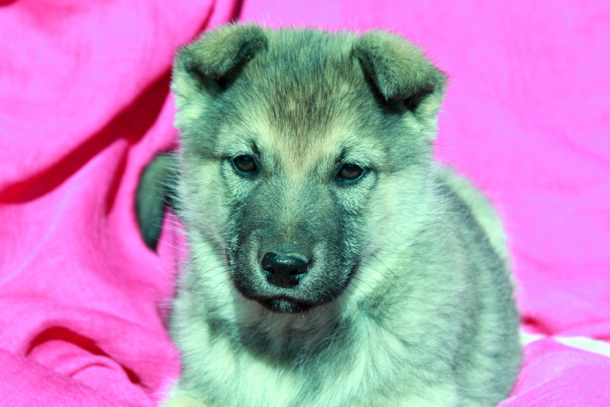 Дженни_04_04_14_3