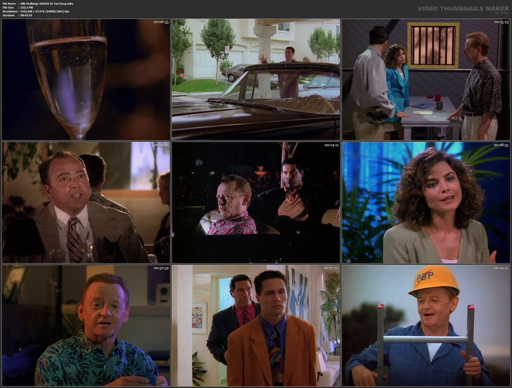 Silk Stalkings S02E05 In Too Deep.mkv
