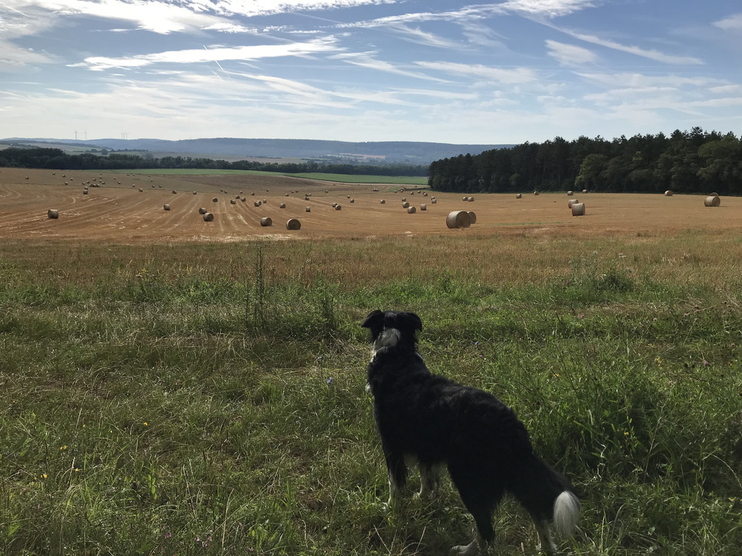 27D72E25-55F7-4D4F-B029-6F1BA78B40A2