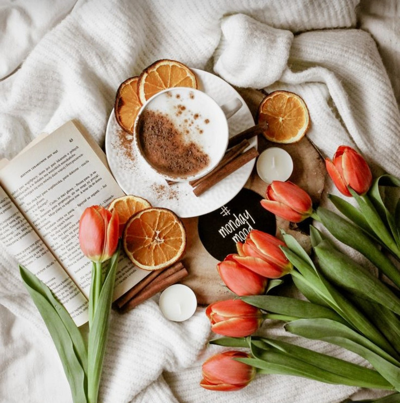 Screenshot_20230913_174112_Pinterest