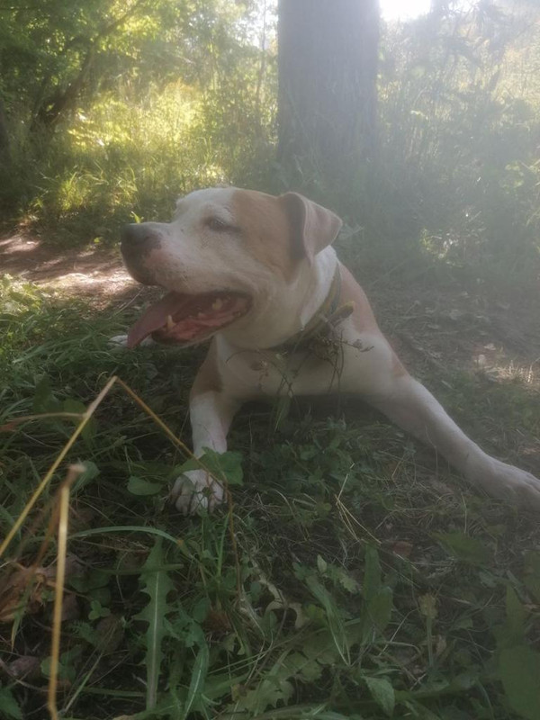 96077C01-FBF5-4E90-8A65-A9229B4B6F05