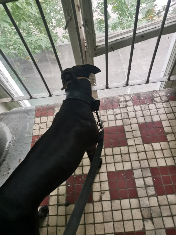 95FF395B-EFEF-470C-B59A-A2DF19FC3225