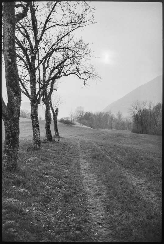 Leica M2_05 apr 2022_13 (690x1024)