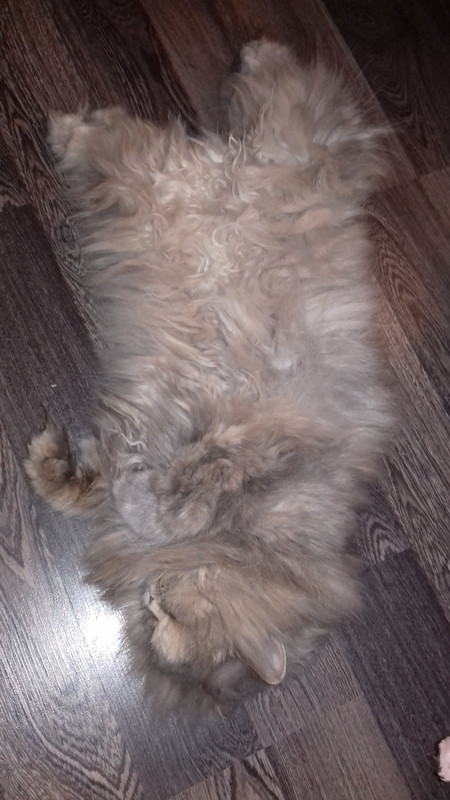 2016-07-08 08-46-34 (2)