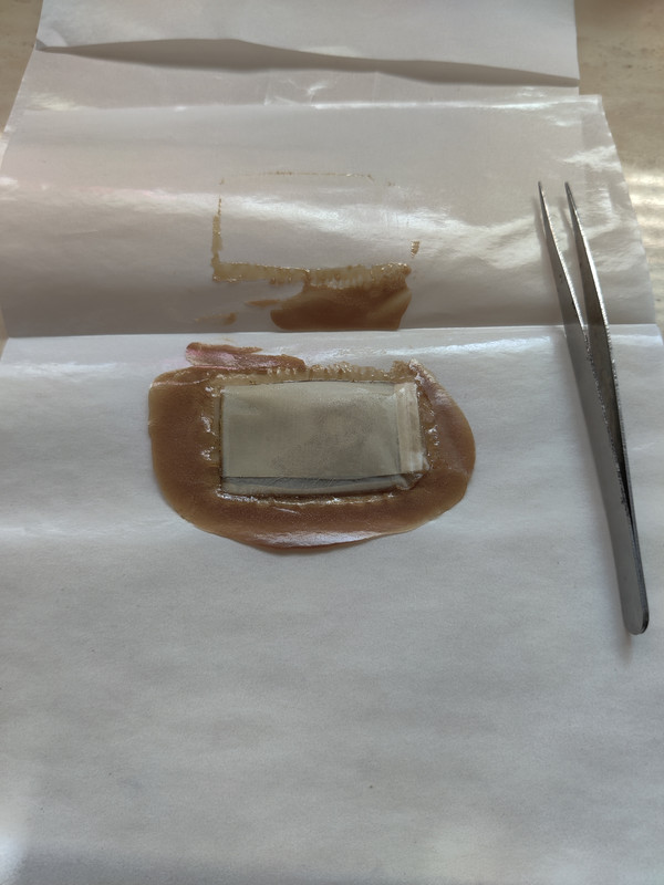 IMG_20221109_120313 (1)