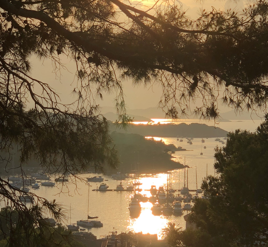 5A7D64DD-CA1D-4A1C-892C-FC1FF1E726DD