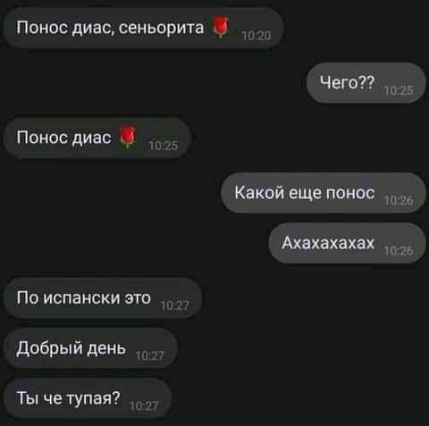 273395689_116826130903678_7419637596633352989_n